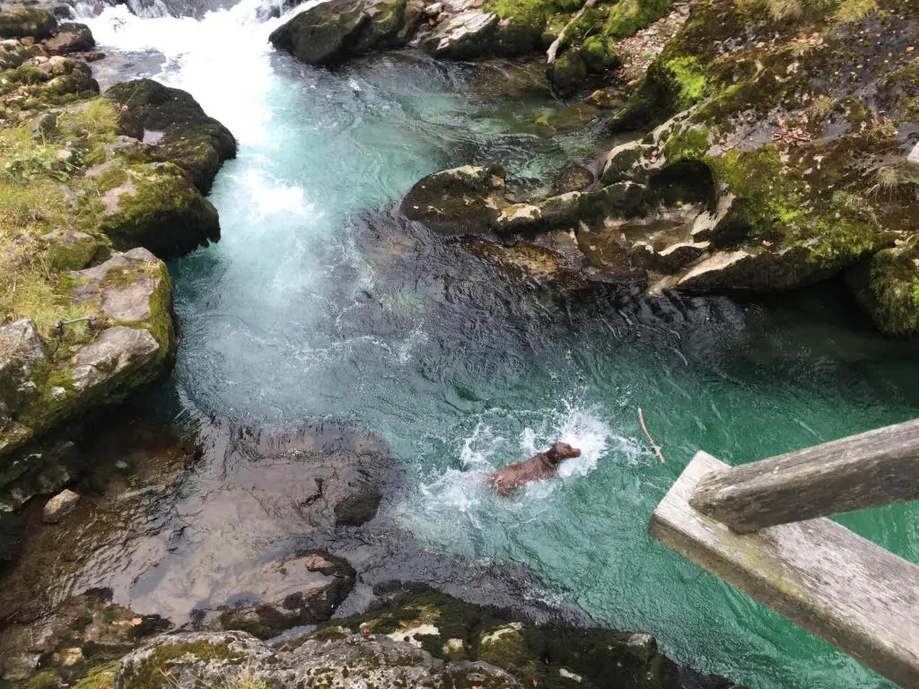 STEYR RIVER LODGE