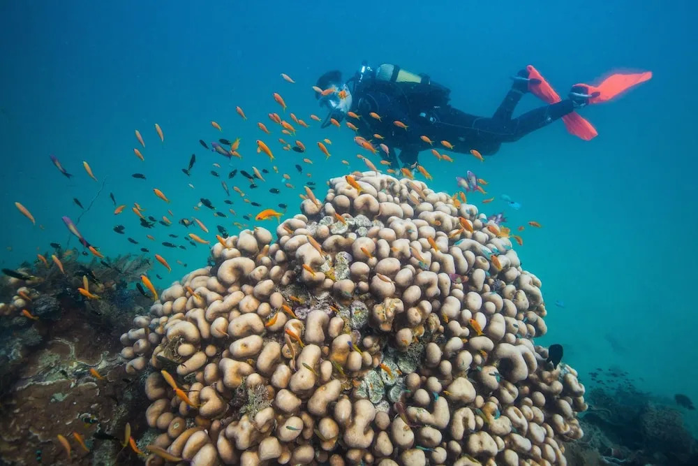 Azura Quilalea Island