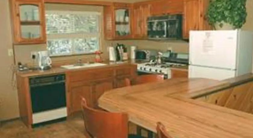 RedAwning Ski Big Bear Chalet