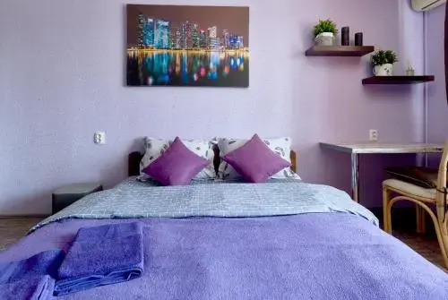 Shovkovychna 48 Apartment