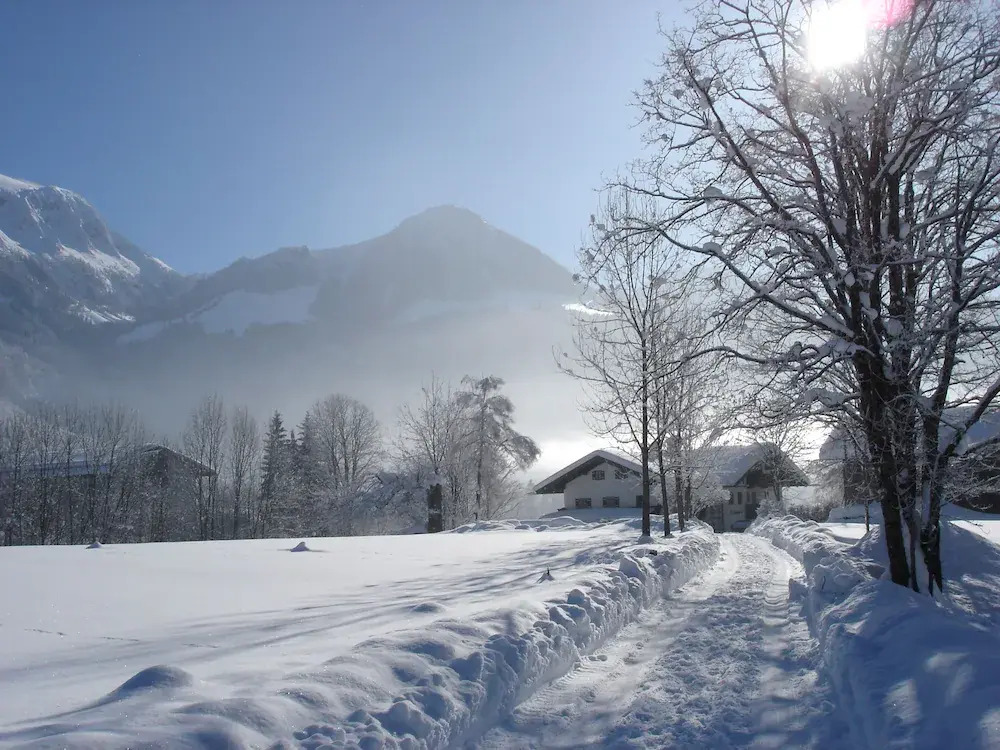 Alpenhof Punzenlehen