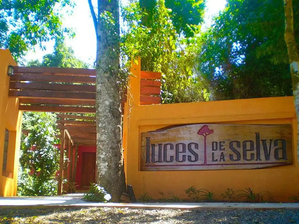 Luces de La Selva