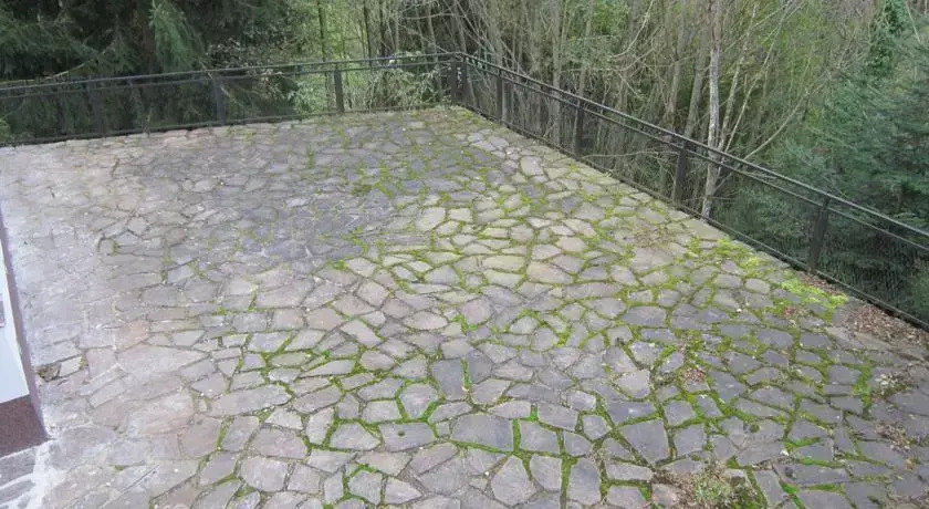 Waldpension Stachl