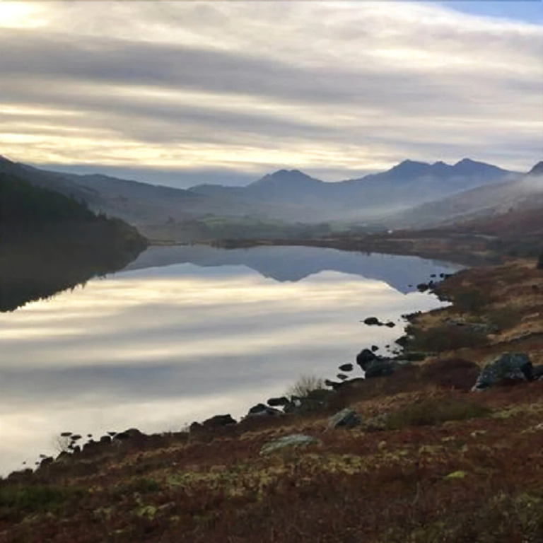Afon View