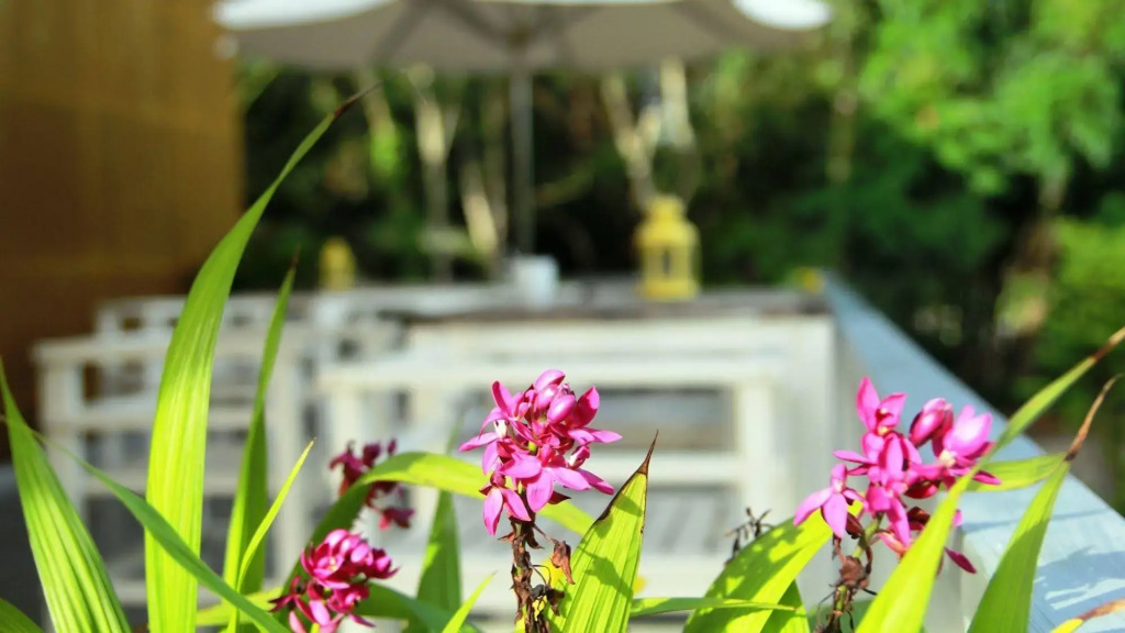 Emis Hotel