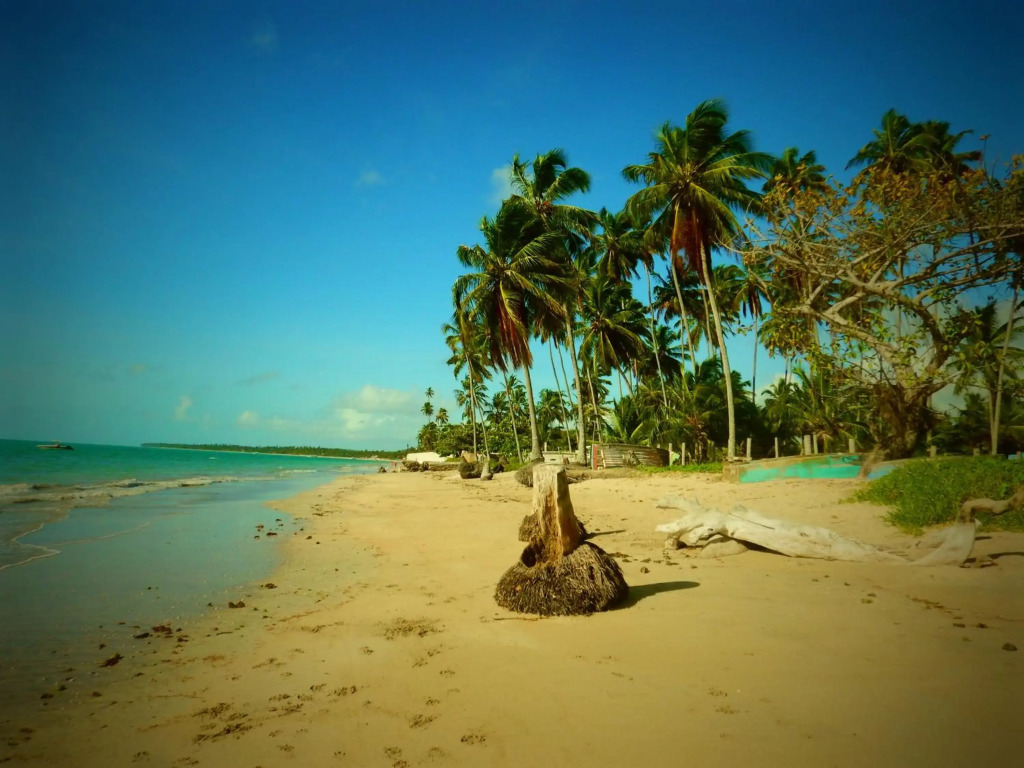 Casa de Praia com Piscina, Peroba - Maragogi