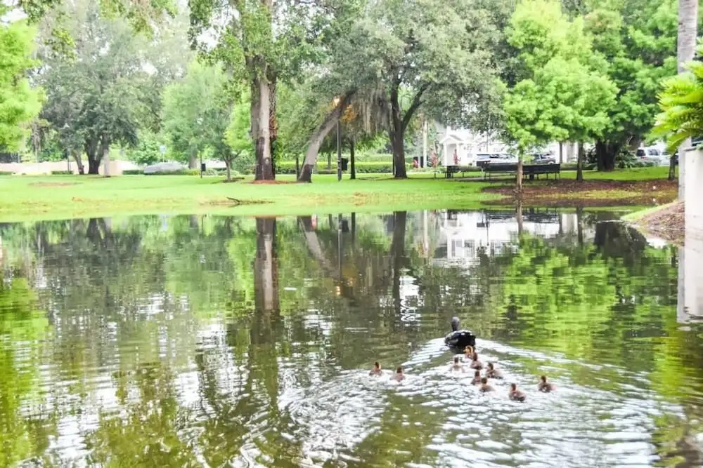 Lucaya 3 Bedroom 2 Bath First Floor Townhome