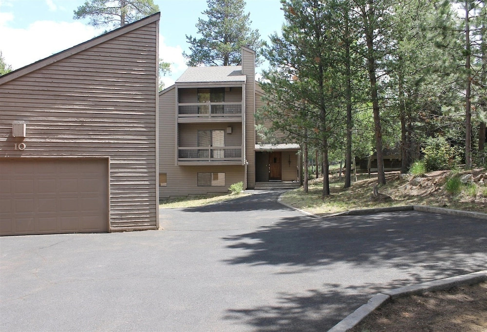 Yellow Pine 10