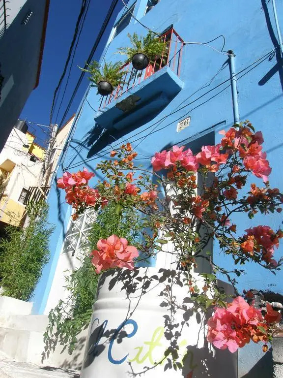 Hostal El Catrin