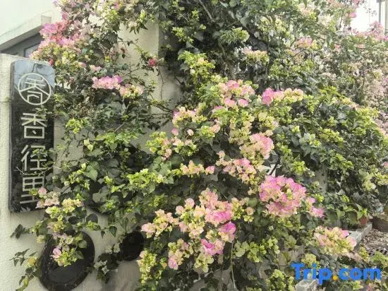 Xiangjingli Homestay