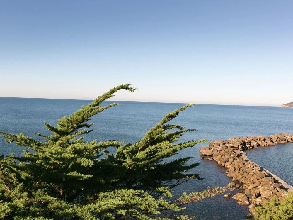 Comfortable Holiday Home in Castiglioncello With Garden