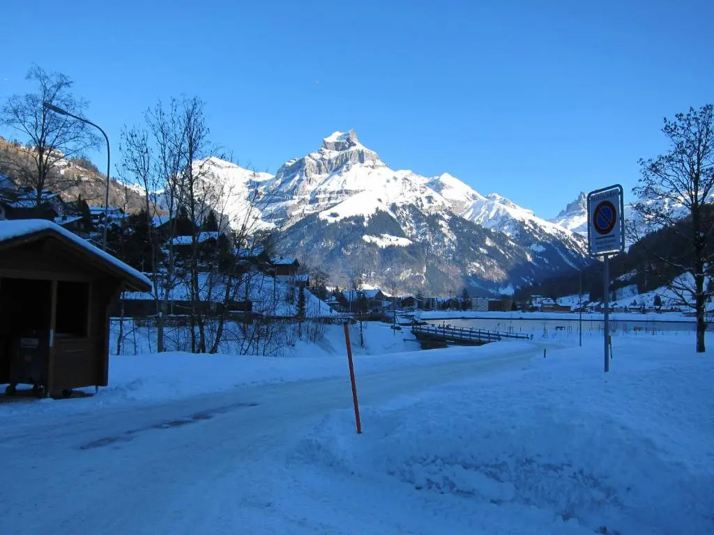 2.5-Zimmer-Wohnung Balkon freie See- und Bergsicht, Garage PPe