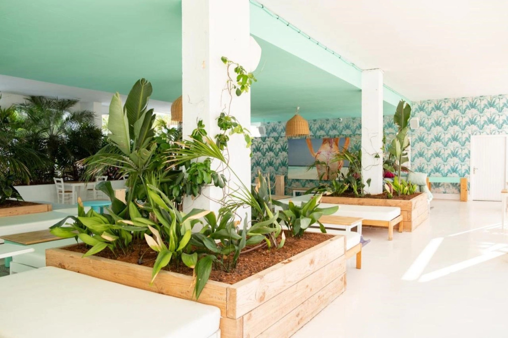 ENDLSS BEACH & DISCO HOTEL IBIZA Adults Only