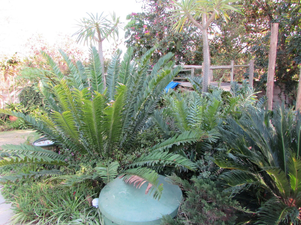 Matts Rest Bnb & Self-catering