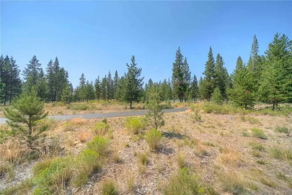 Splitrock Lane 10