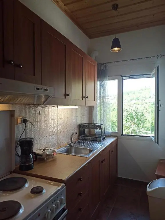 ELLI΄S HOUSE ΣΥΓΧΡΟΝΟ ΣΠΙΤΙ ΣΤΑ ΠΡΑΜΑΝΤΑ