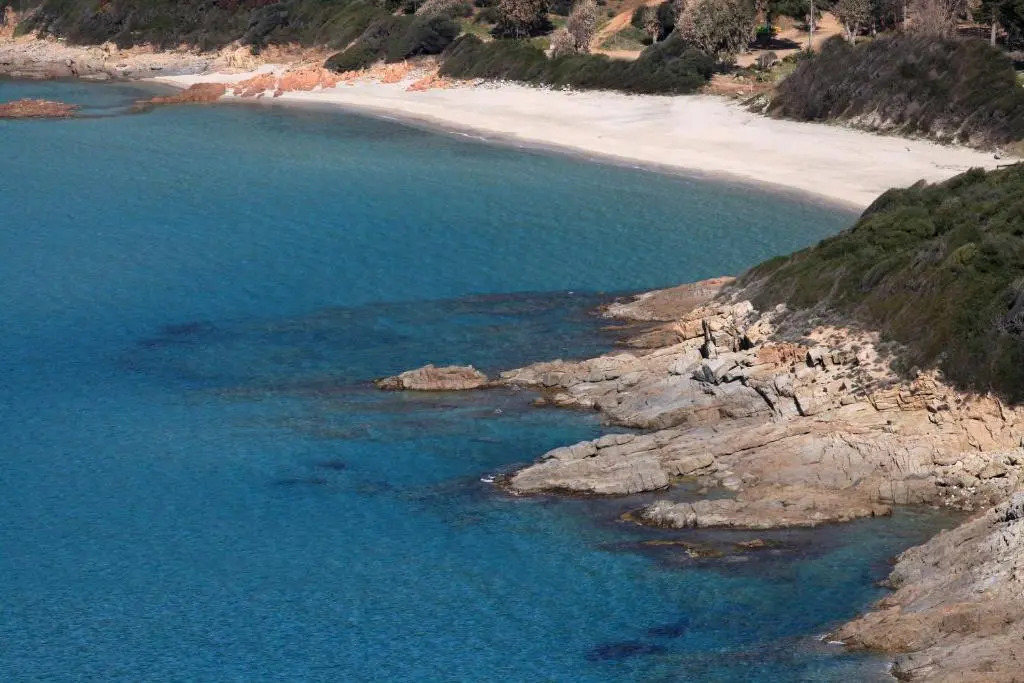 Residenza l Alivetu