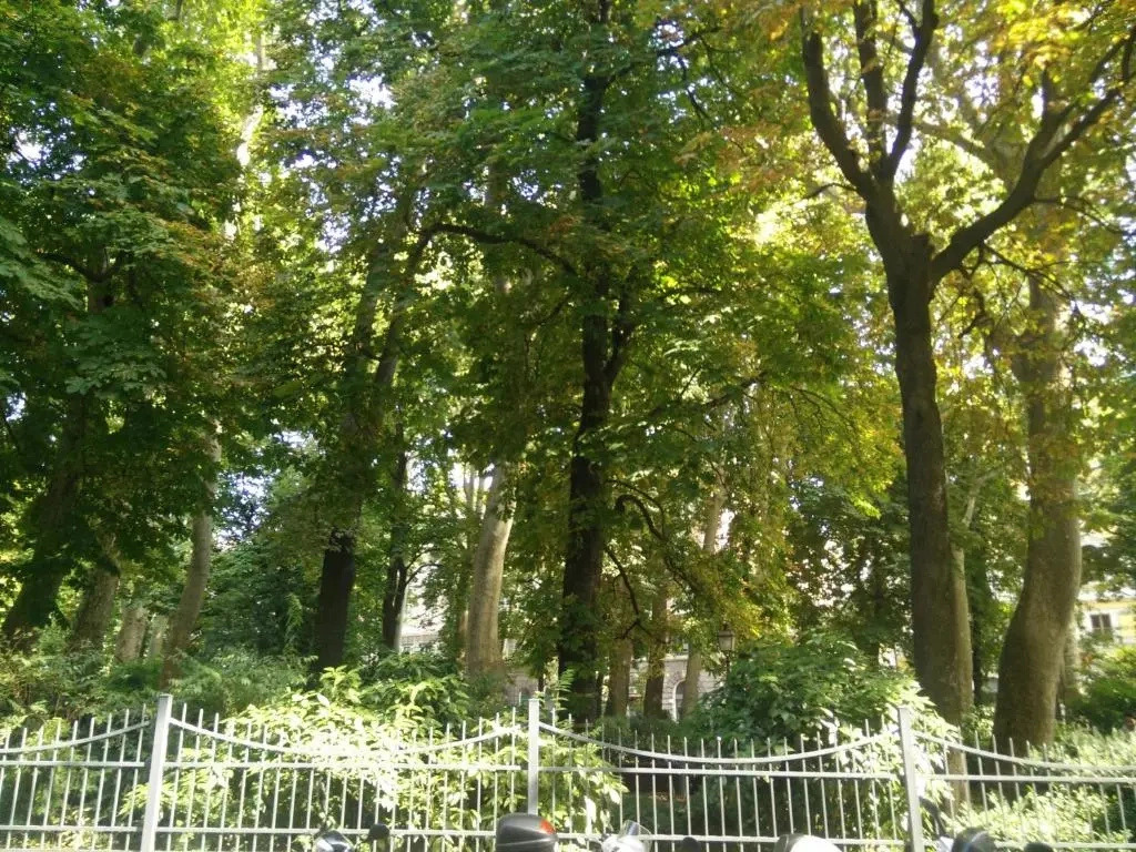 Casa Juli: 70mq-Centro-Trieste