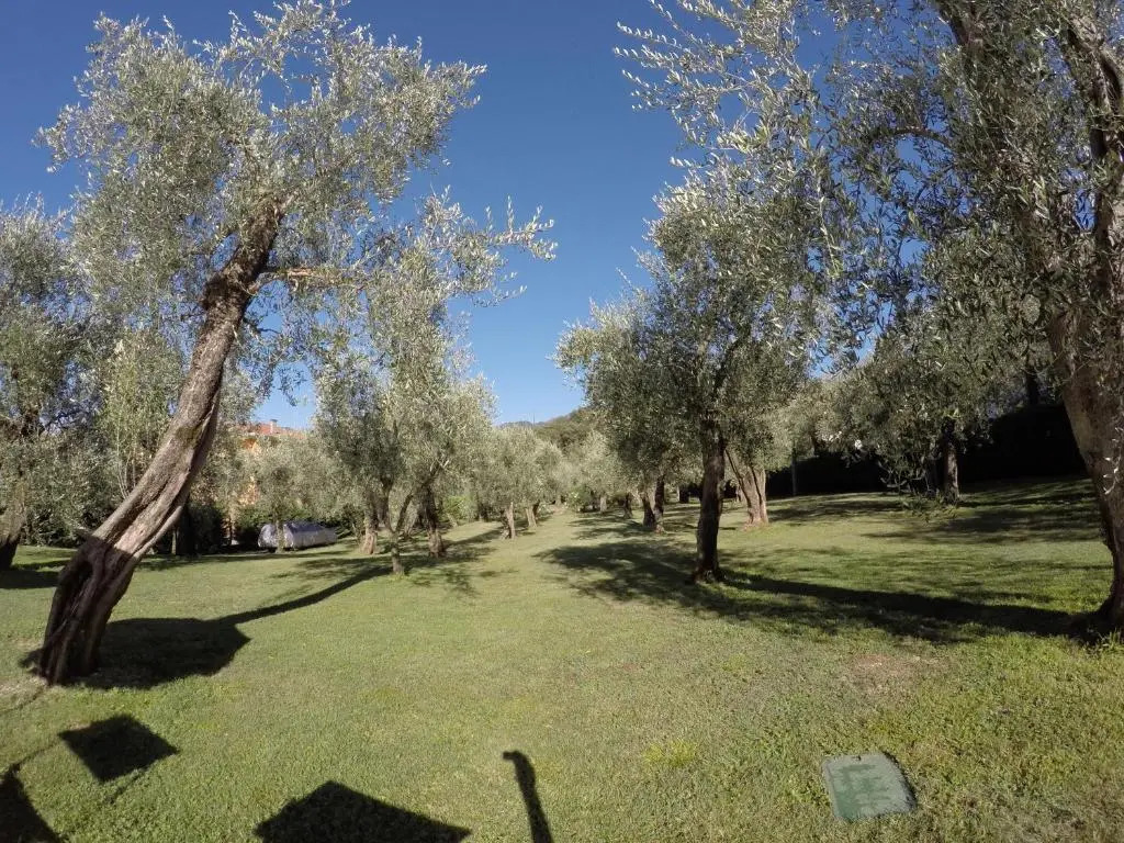 Casa Vacanza Malcesine
