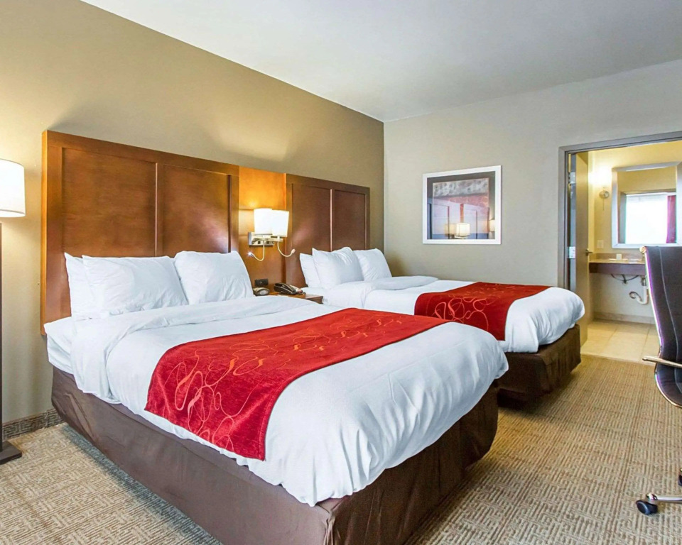 Comfort Suites University