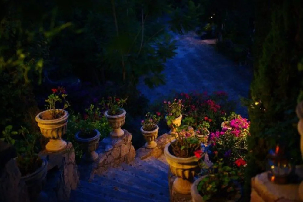 Casa Bugambilias Hotel Boutique