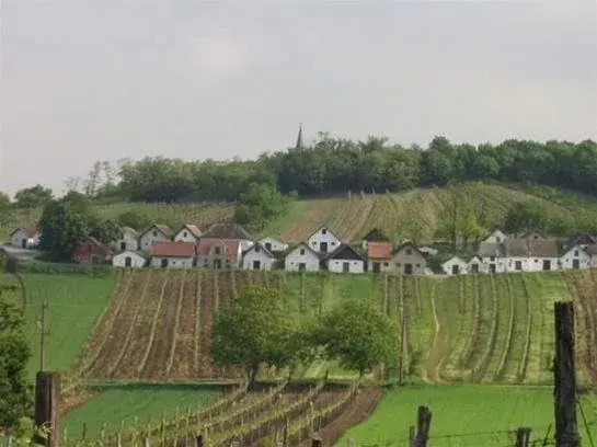 Hotel zum Brüdertor
