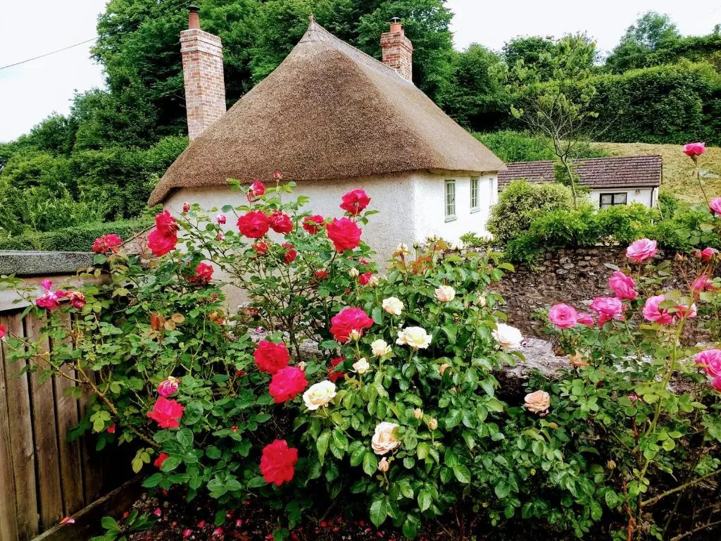 Rose Farm