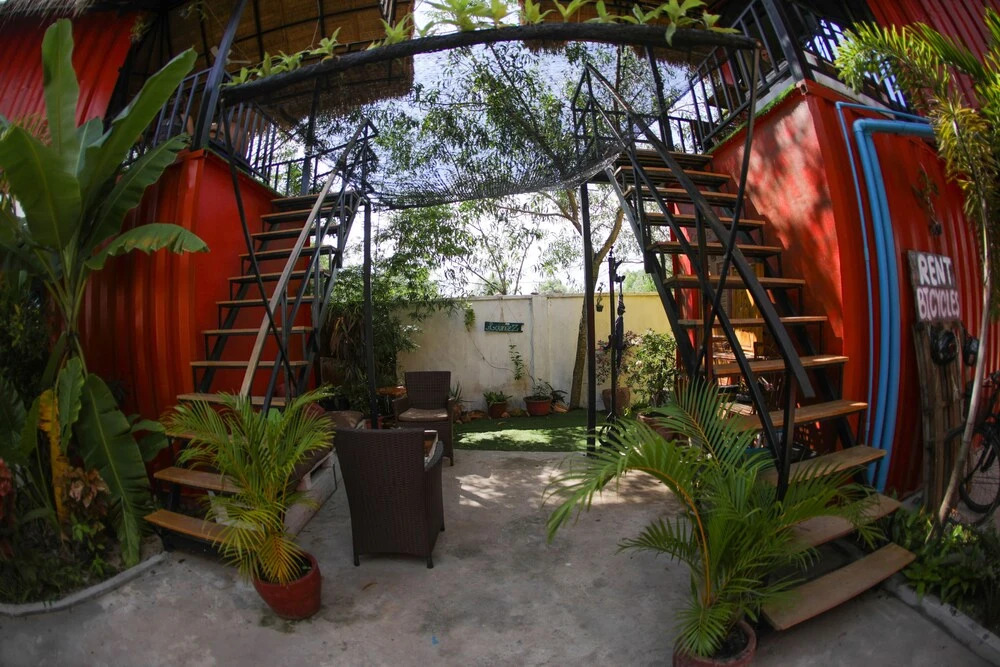 Jurassic Garden