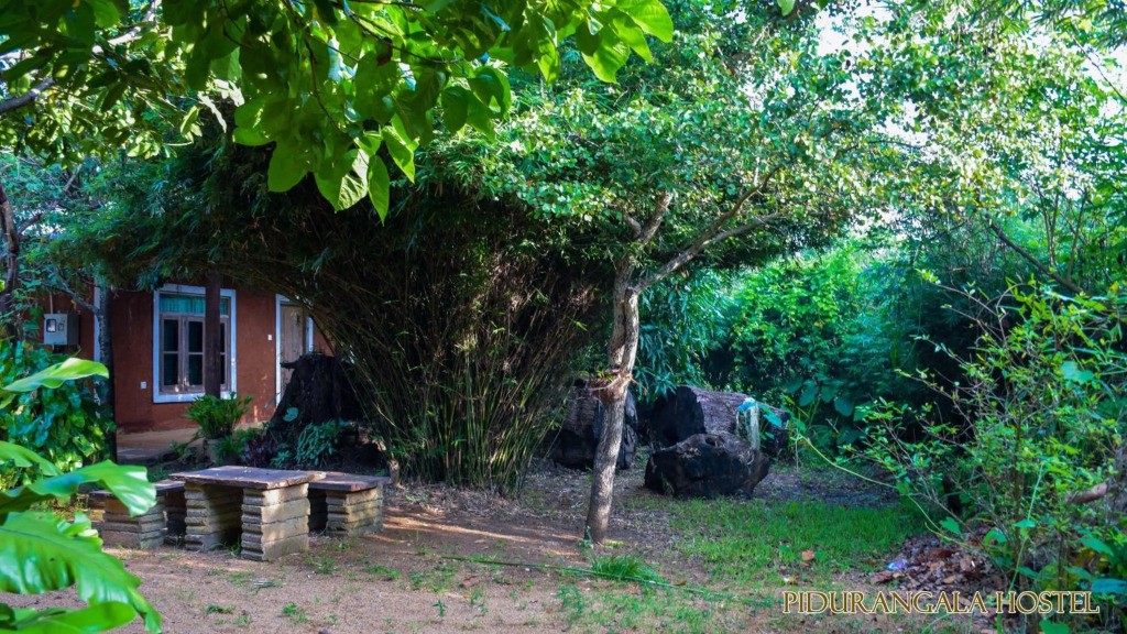 Pidurangala Hostel