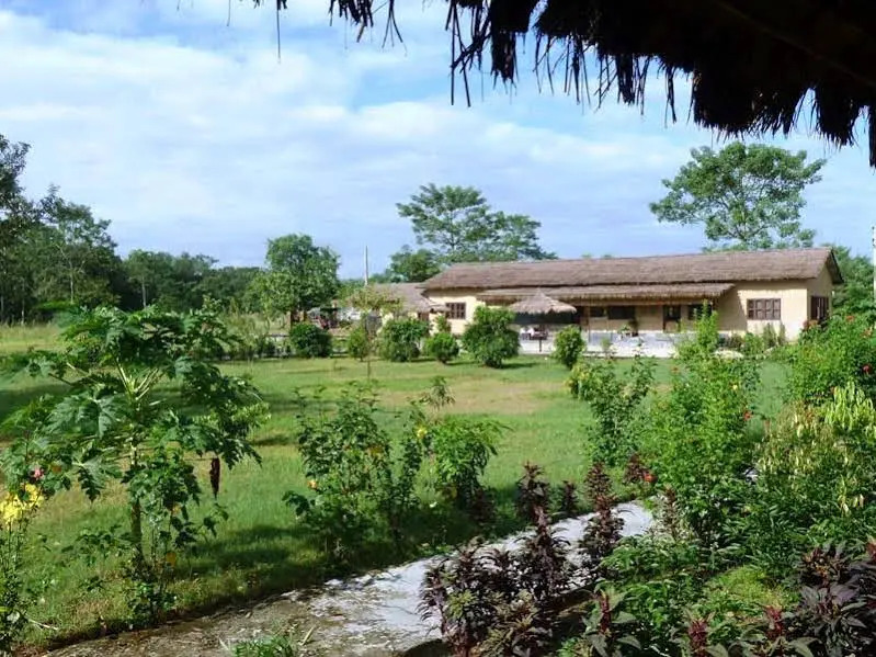 Eco Wildlife Lodge
