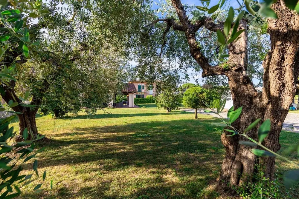 Nonna Bianca Farmhouse