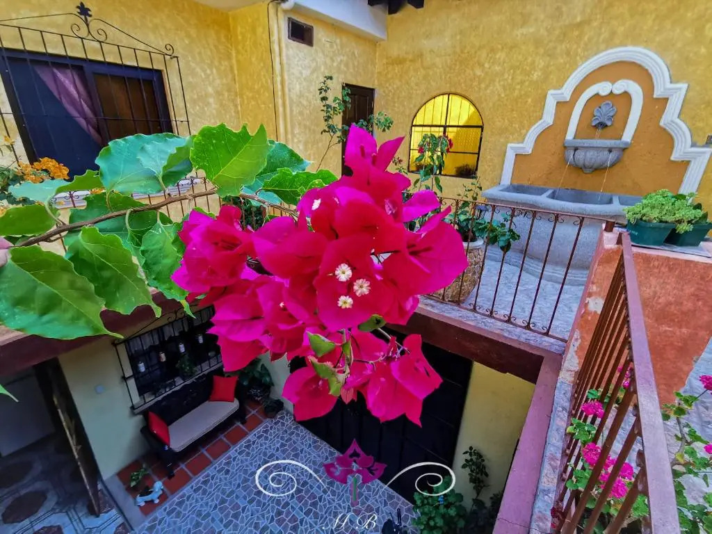 Maison Bougainvillea