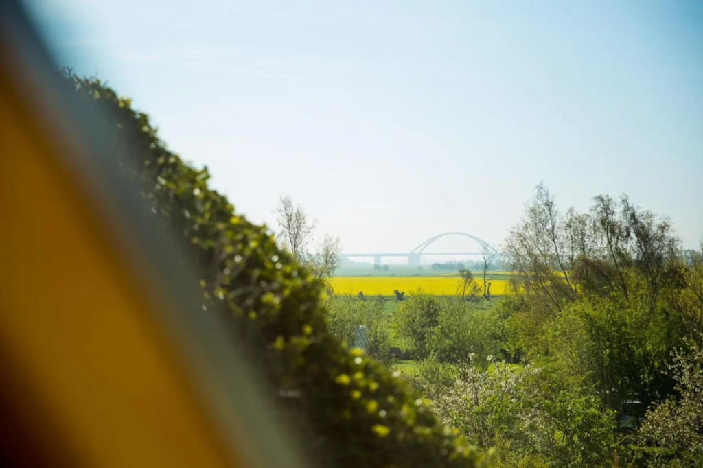 Gold Fehmarn