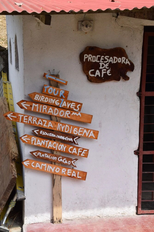Finca Cafetera San Rafael