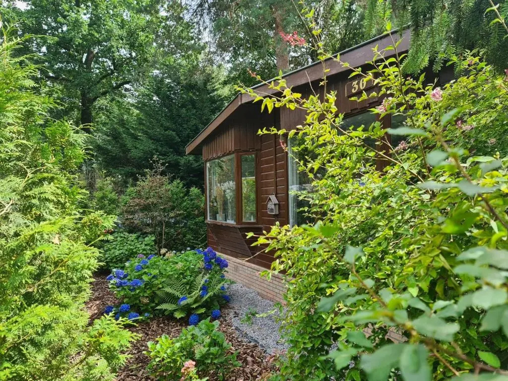 78 m2 double chalet - SAUNA -bubbel HOTTUB veranda-woods--big outdoor woodstove-BBQ