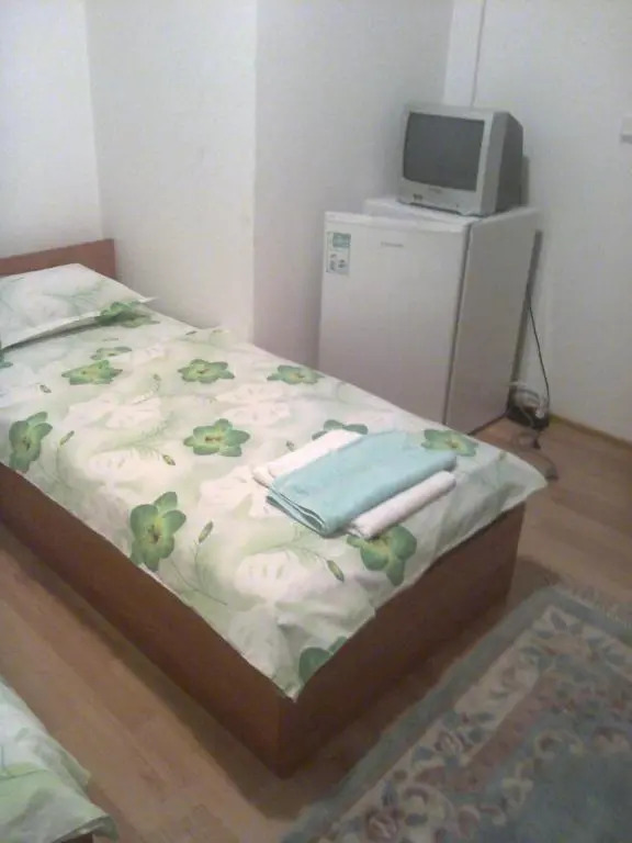 Guest House Vasilevi