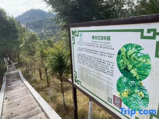 Nanshoufeng Yangshenggu