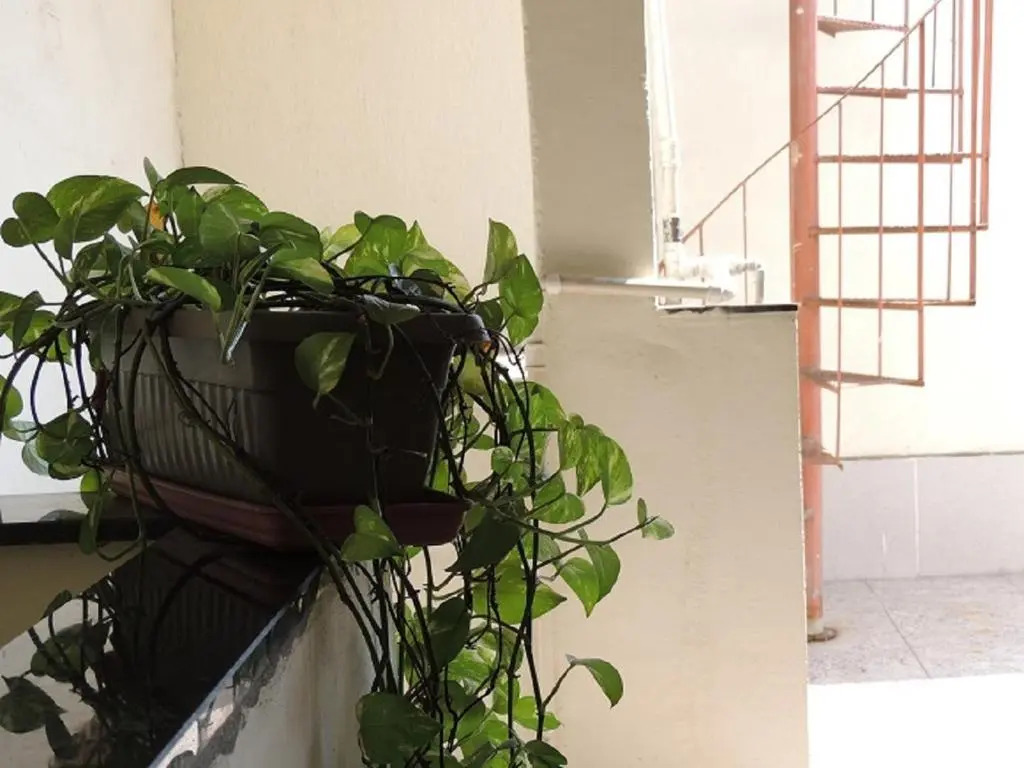 Quartos Em Casa In Caxias da Paraíso