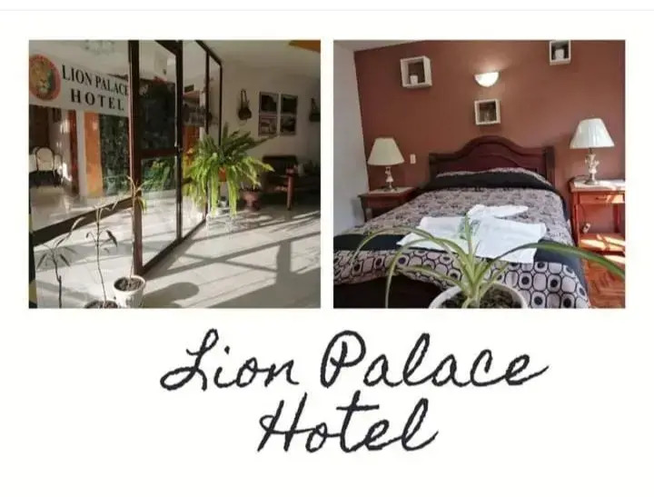 HOTEL LION PALACE
