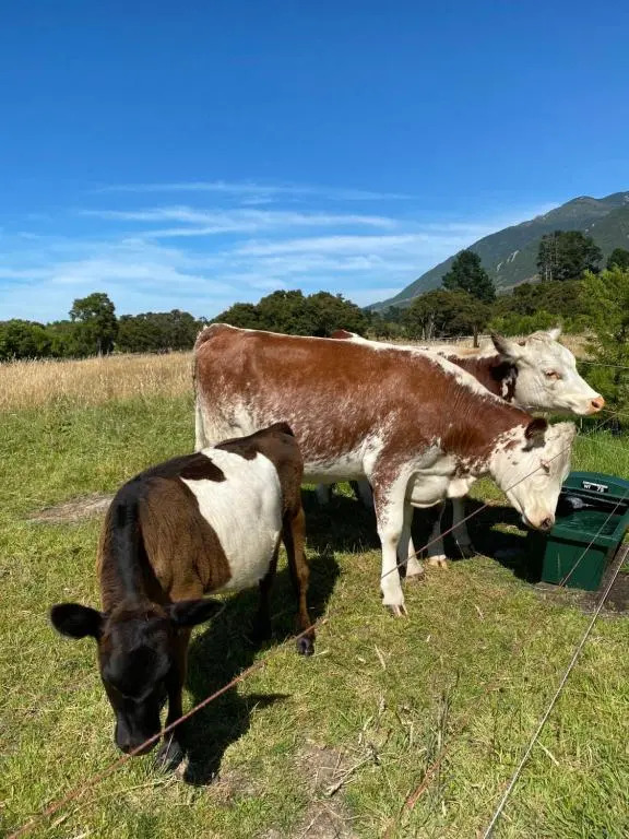 White Caps Kaikoura Farmstay
