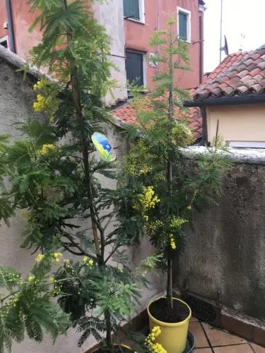 Residenza al Volto