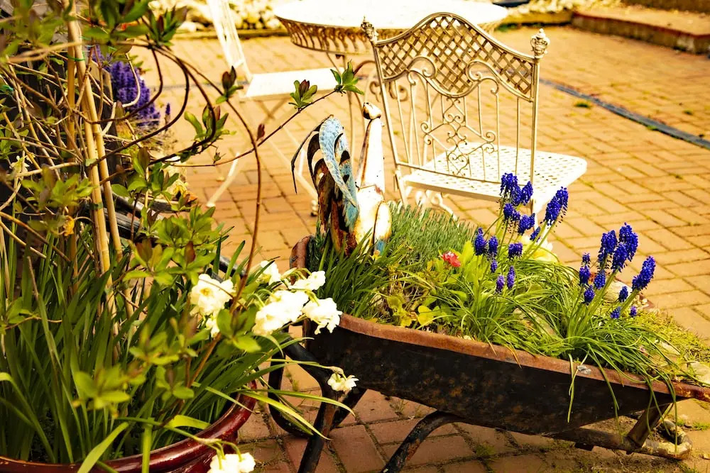 Norfolk Accommodation - mYminiBreak