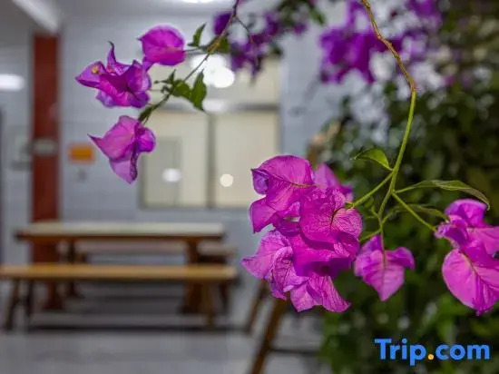 Tiantai Xiangtu Homestay (Guoqing Temple Scenic Area Branch)