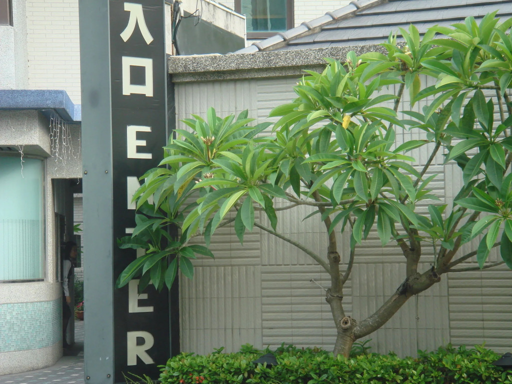 Dryad Motel