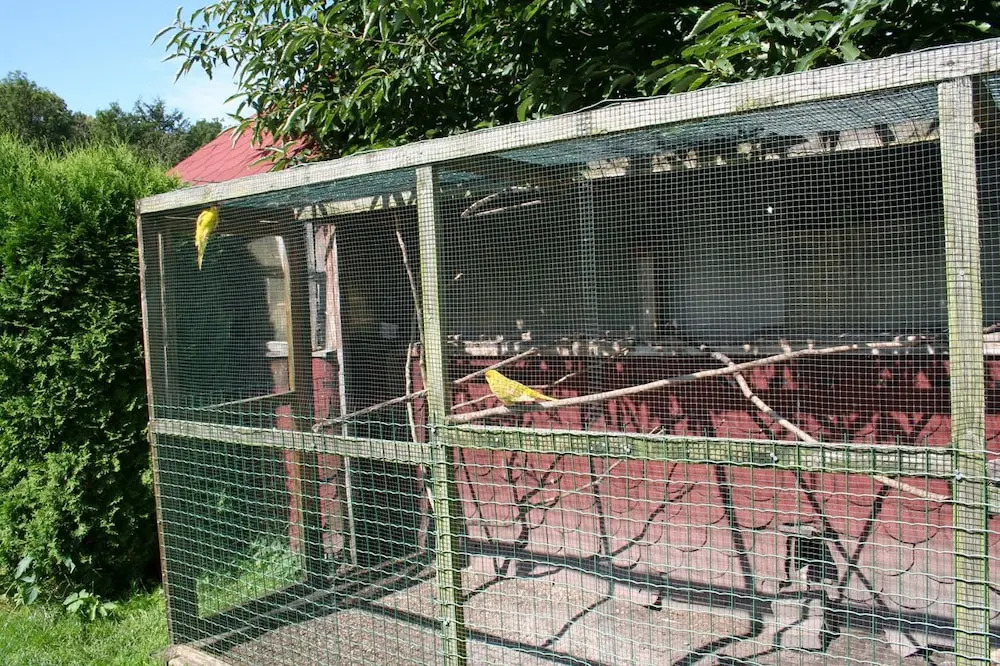 Zum Schlossgarten