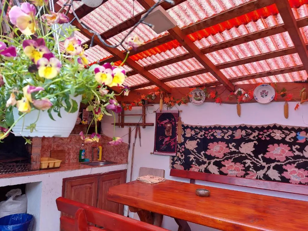 Casa Ioana
