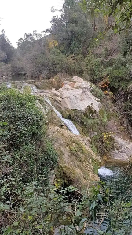 Le Clos du Cèdre