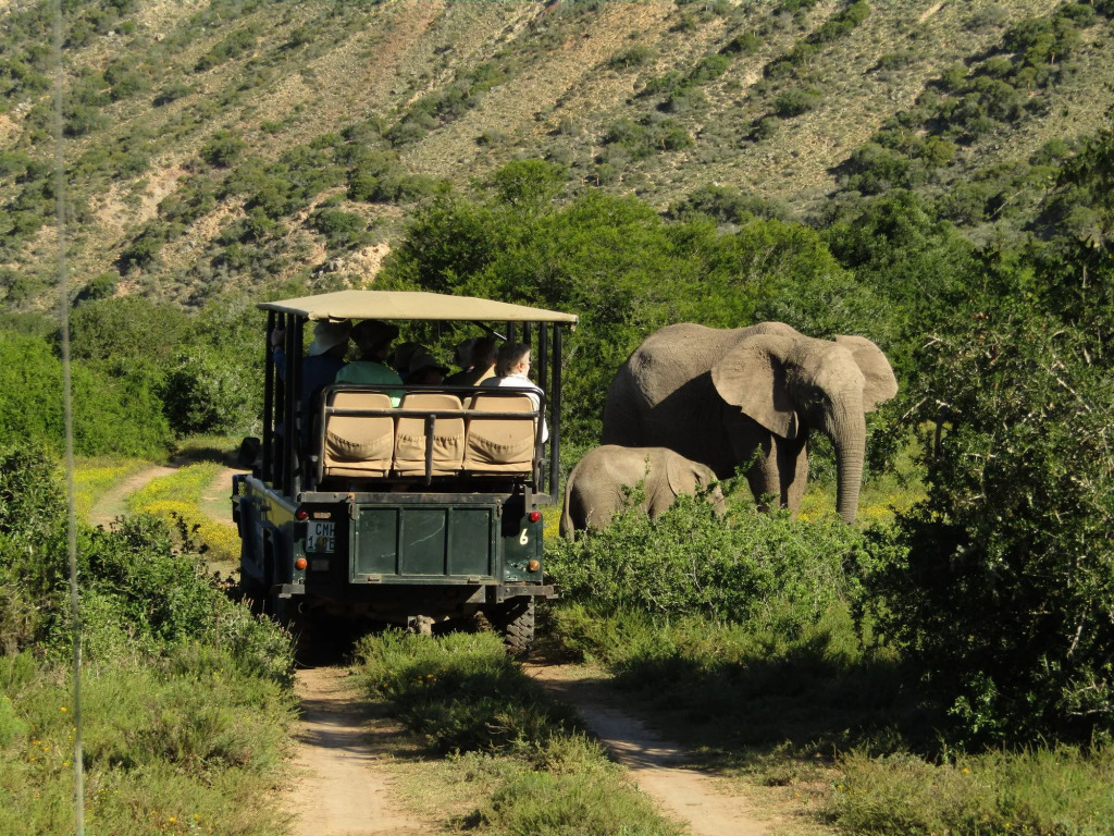 Leeuwenbosch Country House - Amakhala Game Reserve