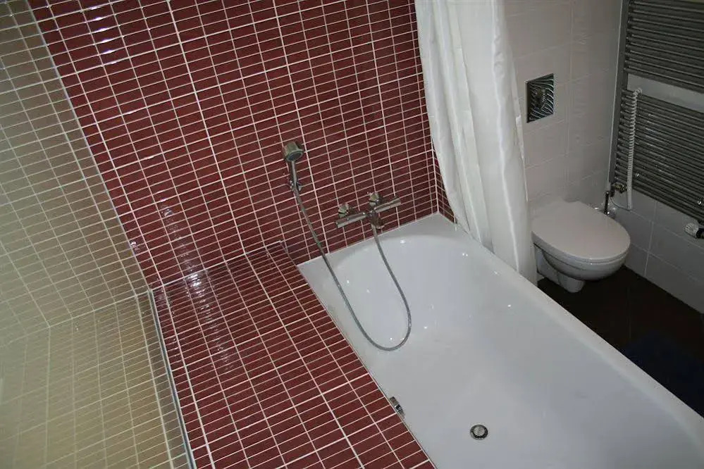 Apartment Balbínova