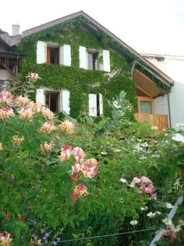 Wonderlandscape Guest House